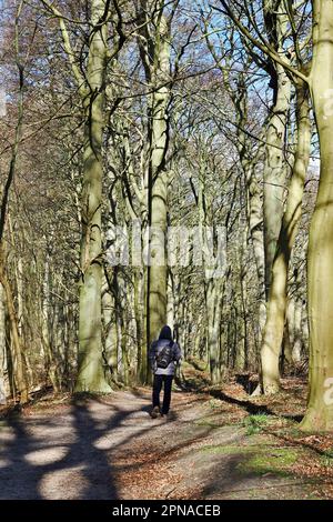 Escursionisti sulla Hochuferweg vicino a Sellin, Ruegen, Meclemburgo-Pomerania occidentale, Germania Foto Stock