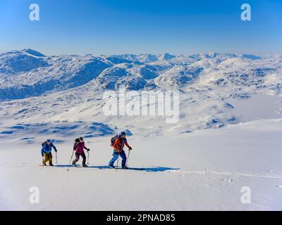 Scialpinista su ski tour, Tasiilaq, Ammassalik Island, Kommuneqarfik Sermersoq, Groenlandia orientale, Groenlandia Foto Stock