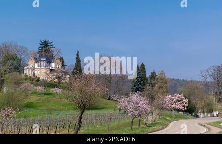 Villa Emilienruhe, ex casa per bambini, Bad Bergzabern, strada del vino tedesca, Palatinato, Renania-Palatinato, Germania Foto Stock