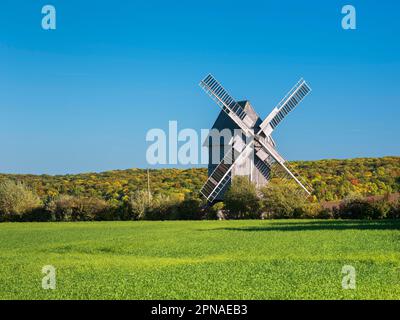 Il mulino a vento di Krippendorf sul campo di battaglia del 1806 in autunno, vicino a Jena, Turingia, Germania Foto Stock