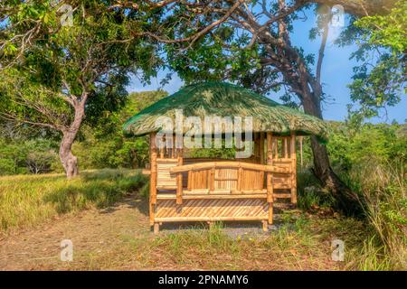 Una tradizionale capanna di bambù filippino con tetto in paglia, nuova di zecca con legno verniciato, utilizzata come gazebo all'aperto per case o resort. Foto Stock