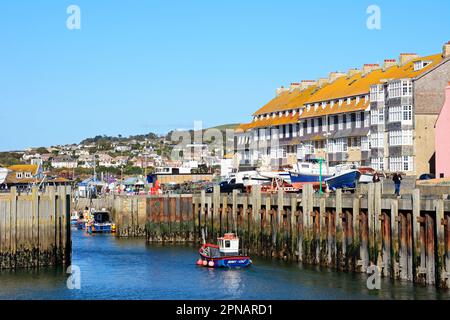 Barche ormeggiate nel porto con edifici cittadini sul retro, West Bay, Dorset, Regno Unito, Europa. Foto Stock