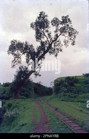 Maharashtra è una stazione dell'India di 9.524 chilometri, situata nel distretto di Mumbai, nello stato federato del Maharashtra. E' conosciuta per il suo clima mite e l'architettura coloniale ben conservata. I veicoli a motore sono vietati e molti visitatori arrivano con la ferrovia a scartamento ridotto sul treno dei giocattoli 1907 Neral-Matheran. Il punto panoramico Panorama Point offre viste sulle montagne dei Ghats occidentali. Foto Stock