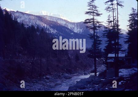 Manali è una località turistica ad alta quota dell'Himalaya, nello stato settentrionale dell'Himachal Pradesh. Ha una reputazione come centro di backpacking e destinazione di luna di miele. Situato sul fiume Beas, è un punto di accesso per sciare nella Valle di Solang e fare trekking nella Valle di Parvati. È anche un punto di partenza per il parapendio, il rafting e l'alpinismo sulle montagne del PIR Panjal, Foto Stock