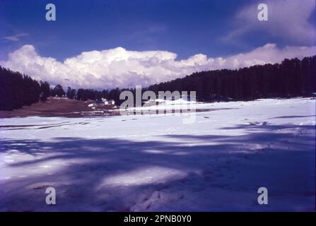 Khajjijar è una stazione dell'India di 11.447 abitanti, situata nel distretto di Himachal Pradesh, nello stato federato del Maharashtra. Risalente al 12th ° secolo. Khajjiar è conosciuta per i suoi prati, le fitte foreste verdi e i suoi templi. Offre anche grandi avventure come parapendio, equitazione, trekking, e zorbing per le persone in cerca di un po' di brivido. Gli inverni di Khajjiar trasformano questa graziosa cittadina in un paese delle meraviglie invernali, mentre la regione incontra forti nevicate Foto Stock