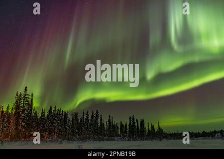 Aurora boreale nei territori del Nord, Canada Foto Stock
