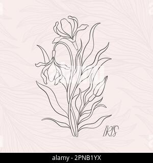 Iride floreale in art nouveau 1920-1930. Disegnato a mano in stile lineare con trame di linee, foglie e fiori. Illustrazione Vettoriale