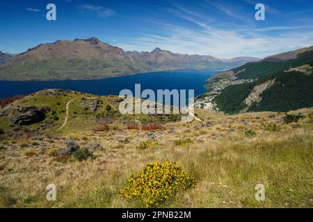 Salendo e su Queensland Hill in Nuova Zelanda sull'Isola Sud di Otago. Anche una vista del Lago Wakatipu con la montagna sullo sfondo. Foto Stock