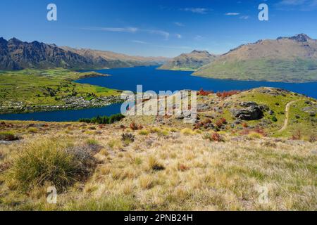 Salendo e su Queensland Hill in Nuova Zelanda sull'Isola Sud di Otago. Anche una vista del Lago Wakatipu con la montagna sullo sfondo. Foto Stock