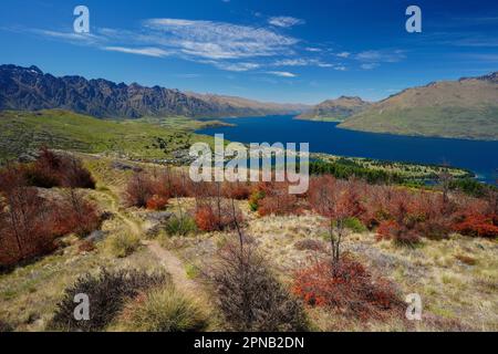 Salendo e su Queensland Hill in Nuova Zelanda sull'Isola Sud di Otago. Anche una vista del Lago Wakatipu con la montagna sullo sfondo. Foto Stock