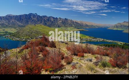 Salendo e su Queensland Hill in Nuova Zelanda sull'Isola Sud di Otago. Anche una vista del Lago Wakatipu con la montagna sullo sfondo. Foto Stock