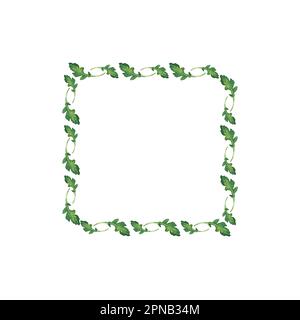 Acquerello illustrazione di vegetali. Set disegnato a mano da clip art isolata su sfondo bianco. Immagini di brigh di verdure realistiche per i menu, Foto Stock