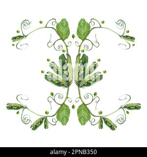 Acquerello illustrazione di vegetali. Set disegnato a mano da clip art isolata su sfondo bianco. Immagini di brigh di verdure realistiche per i menu, Foto Stock