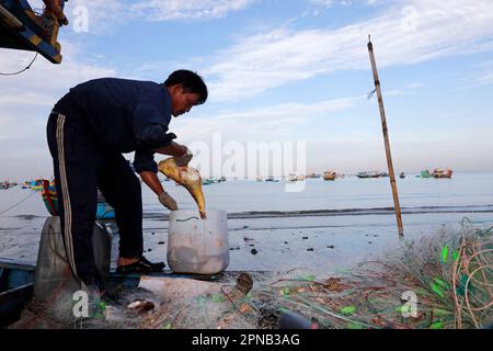 Hang Dua Bay, barca da pesca in arrivo sulla spiaggia con il fermo della notte. Vung Tau. Vietnam. Foto Stock