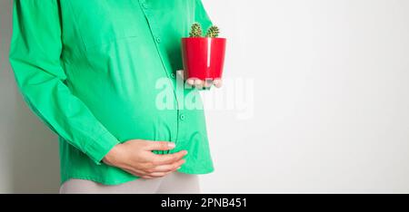 Una ragazza incinta tiene un vaso rosso con un cactus sullo sfondo del suo ventre. Il concetto di dolore da stabbing cramping in gravidanza. Inizio del lavoro Foto Stock