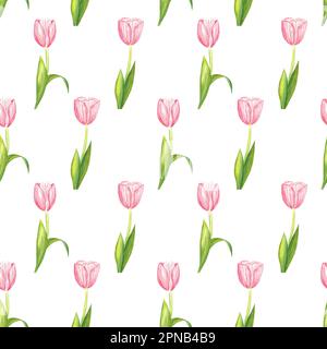 Tulipano rosa delicato. Petali di fiori. Illustrazione acquerello per congratulazioni, inviti, prodotti di profumeria. Ripetizione senza giunture. Foto Stock