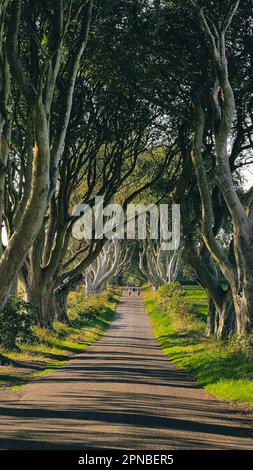 L'Irlanda nel corso degli anni Foto Stock