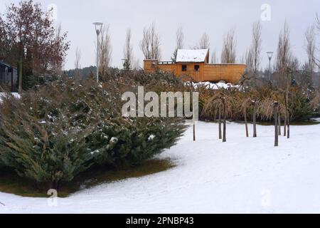 Smaal barca di legno sotto la neve tra cespugli e alberi Foto Stock