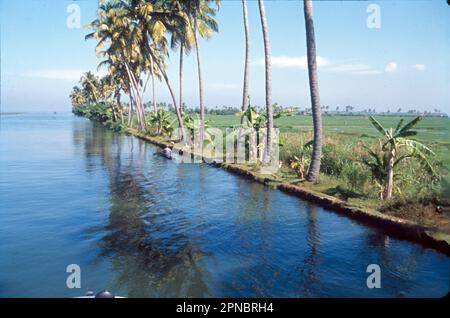 Le panoramiche acque posteriori del Kerala comprendono una serena distesa di laghi, canali e lagune situate parallelamente alla costa del Mar Arabico. Le regioni del Kerala sono una delle destinazioni turistiche più popolari del mondo. Foto Stock