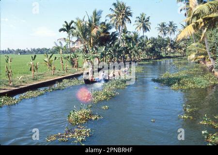 Le panoramiche acque posteriori del Kerala comprendono una serena distesa di laghi, canali e lagune situate parallelamente alla costa del Mar Arabico. Le regioni del Kerala sono una delle destinazioni turistiche più popolari del mondo. Foto Stock