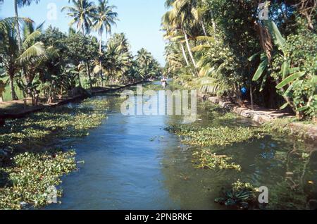 Le panoramiche acque posteriori del Kerala comprendono una serena distesa di laghi, canali e lagune situate parallelamente alla costa del Mar Arabico. Le regioni del Kerala sono una delle destinazioni turistiche più popolari del mondo. Foto Stock