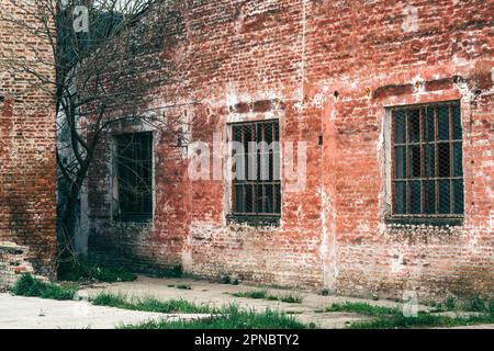 Vecchia griglia industriale metallica finestra con mullion e muntin su rovinato fabbrica edificio, vetro rotto e usura brickwall Foto Stock