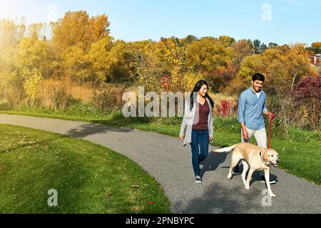 I cani sono buoni per la nostra salute. una giovane coppia amorevole che porta il cane per una passeggiata nel parco. Foto Stock