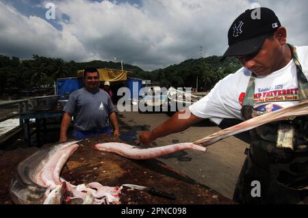 Il mercato del pesce di El Puerto de la Libertad è una delle destinazioni turistiche più rappresentative di El Salvador, America Centrale. Foto Stock