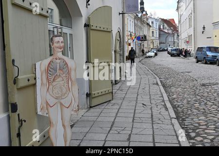 Per la visita: Museo della Salute a Tallinn, Estonia Foto Stock