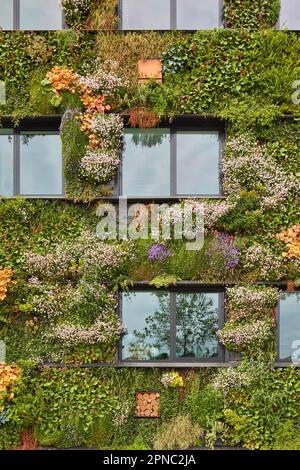 Esterno di un edificio verde sostenibile coperto da piante verticali pendenti fiorenti Foto Stock