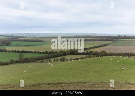 The Ridgeway il 11th novembre 2022 ad Avebury, Wiltshire. Credit: Notizie SMP Foto Stock