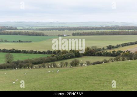 The Ridgeway il 11th novembre 2022 ad Avebury, Wiltshire. Credit: Notizie SMP Foto Stock