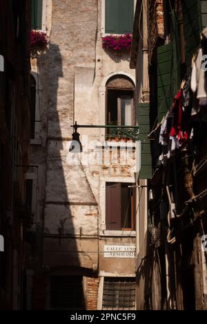 Vista sulle piante degli edifici sulla strada Foto Stock