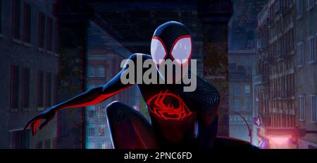 Spider-Man attraverso il Spider-Verse Foto Stock