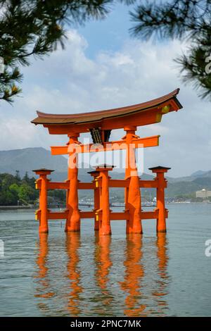 Hatsukaichi, Giappone - 17 aprile 2023: Torii galleggiante al santuario di Itsukushima sull'isola di Itsukushima, prefettura di Hiroshima, Giappone. Foto Stock