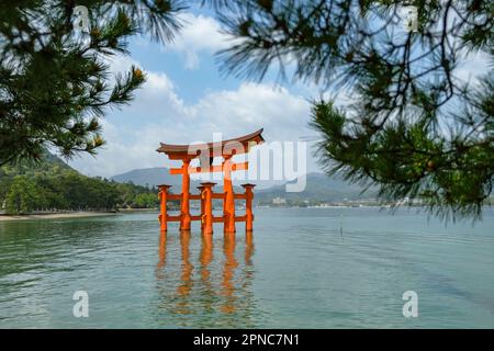 Hatsukaichi, Giappone - 17 aprile 2023: Torii galleggiante al santuario di Itsukushima sull'isola di Itsukushima, prefettura di Hiroshima, Giappone. Foto Stock