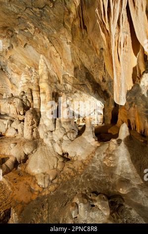 Nella grotta di Toirano sono presenti resti di Ursus spelaeus, l'orso della grotta e dell'uomo preistorico. Savona; Liguria; Italia Foto Stock