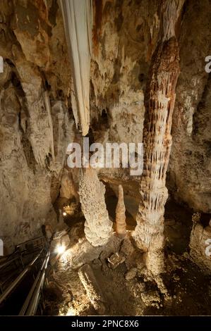 Nella grotta di Toirano sono presenti resti di Ursus spelaeus, l'orso della grotta e dell'uomo preistorico. Savona; Liguria; Italia Foto Stock