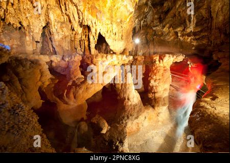 Nella grotta di Toirano sono presenti resti di Ursus spelaeus, l'orso della grotta e dell'uomo preistorico. Savona; Liguria; Italia Foto Stock