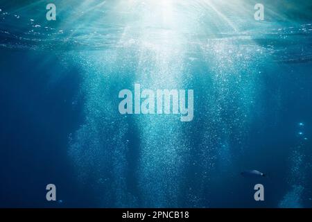 Luce del sole subacquea con bolle che si innalzano alla superficie dell'acqua nel mare, Mediterraneo, Francia Foto Stock