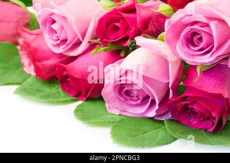 Bouquet di rose rosse e rosa su fondo bianco Foto Stock