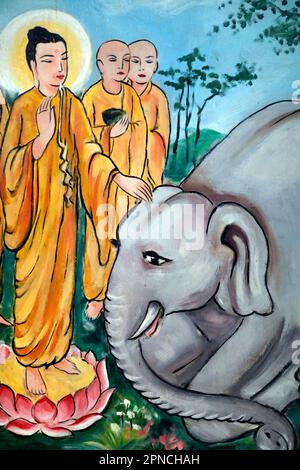 Tempio di Rong Thanh. Vita di Buddha, Siddhartha Gautama. Addomesticare un elefante con gentilezza amorevole - Nalagiri era l'elefante reale. Tan Chau. Vietnam. Foto Stock