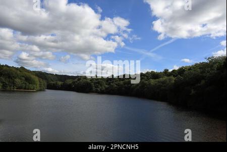 Serbatoi di Roddlesworth Roddlesworth Lancashire Inghilterra Foto Stock