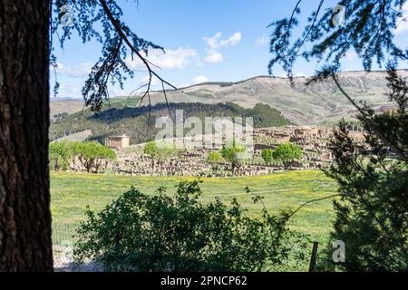 Vista panoramica delle rovine romane dell'antica città di Cuicul-Djemila. Sito patrimonio dell'umanità dell'UNESCO. Foto Stock