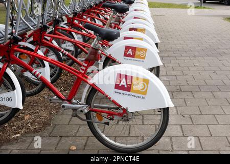 ANVERSA, BELGIO, 11 MARZO 2023: Una fila di biciclette condivise presso una stazione di biciclette ad Anversa. Velo è la prima e più grande società di bike share ad Anversa e su Foto Stock