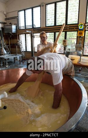 Produzione di Parmigiano Reggiano presso il caseificio Hombre, Modena, Emilia Romagna, Europa, Italia Foto Stock