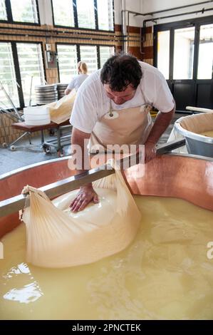 Produzione di Parmigiano Reggiano presso il caseificio Hombre, Modena, Emilia Romagna, Europa, Italia Foto Stock