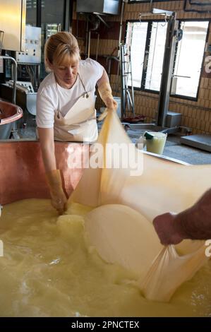 Produzione di Parmigiano Reggiano presso il caseificio Hombre, Modena, Emilia Romagna, Europa, Italia Foto Stock