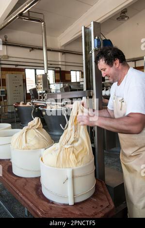 Produzione di Parmigiano Reggiano presso il caseificio Hombre, Modena, Emilia Romagna, Europa, Italia Foto Stock