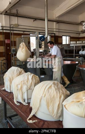 Produzione di Parmigiano Reggiano presso il caseificio Hombre, Modena, Emilia Romagna, Europa, Italia Foto Stock